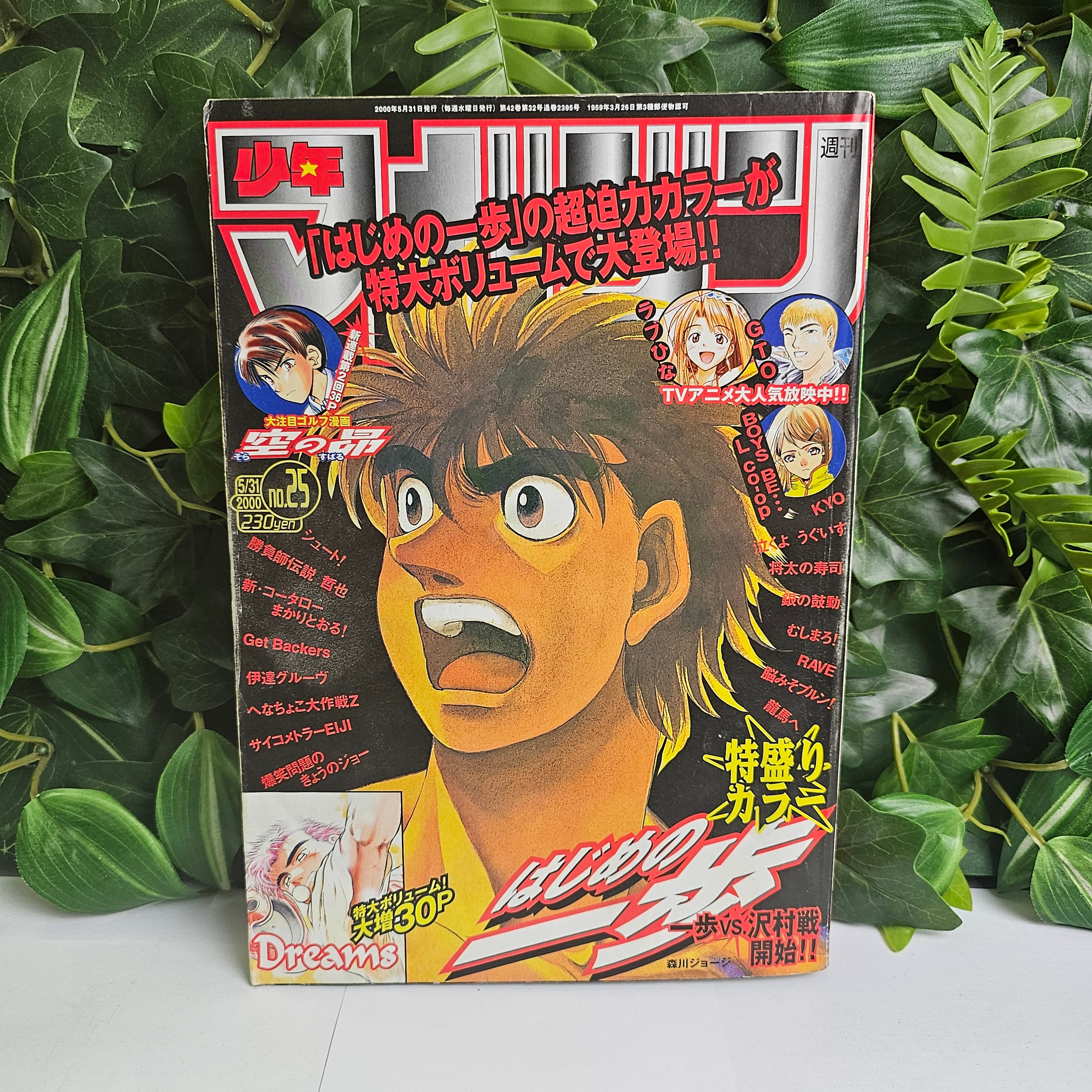 Weekly Shonen Magazine n°25 (2000)