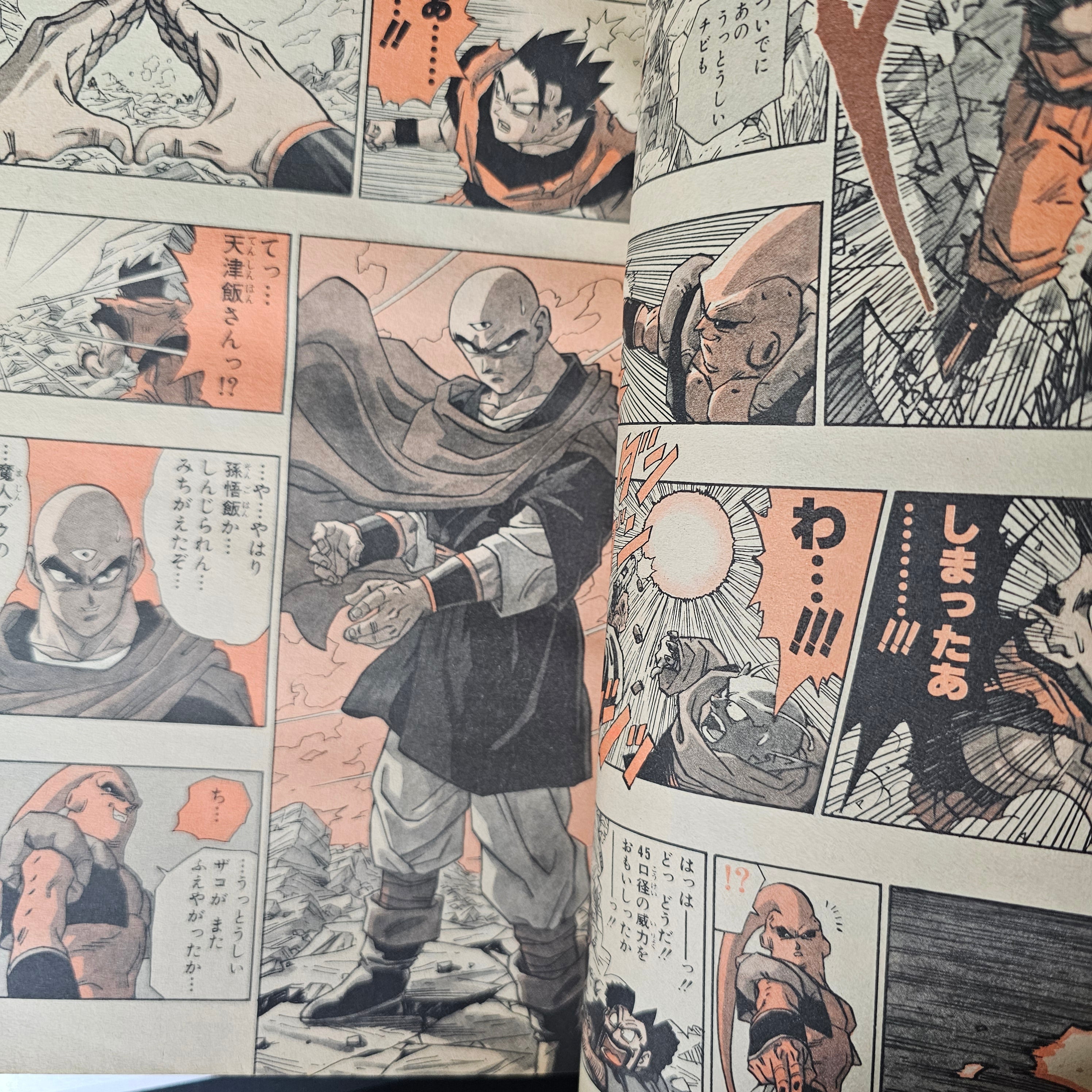 Weekly Shonen Jump n°5-6 (1995)