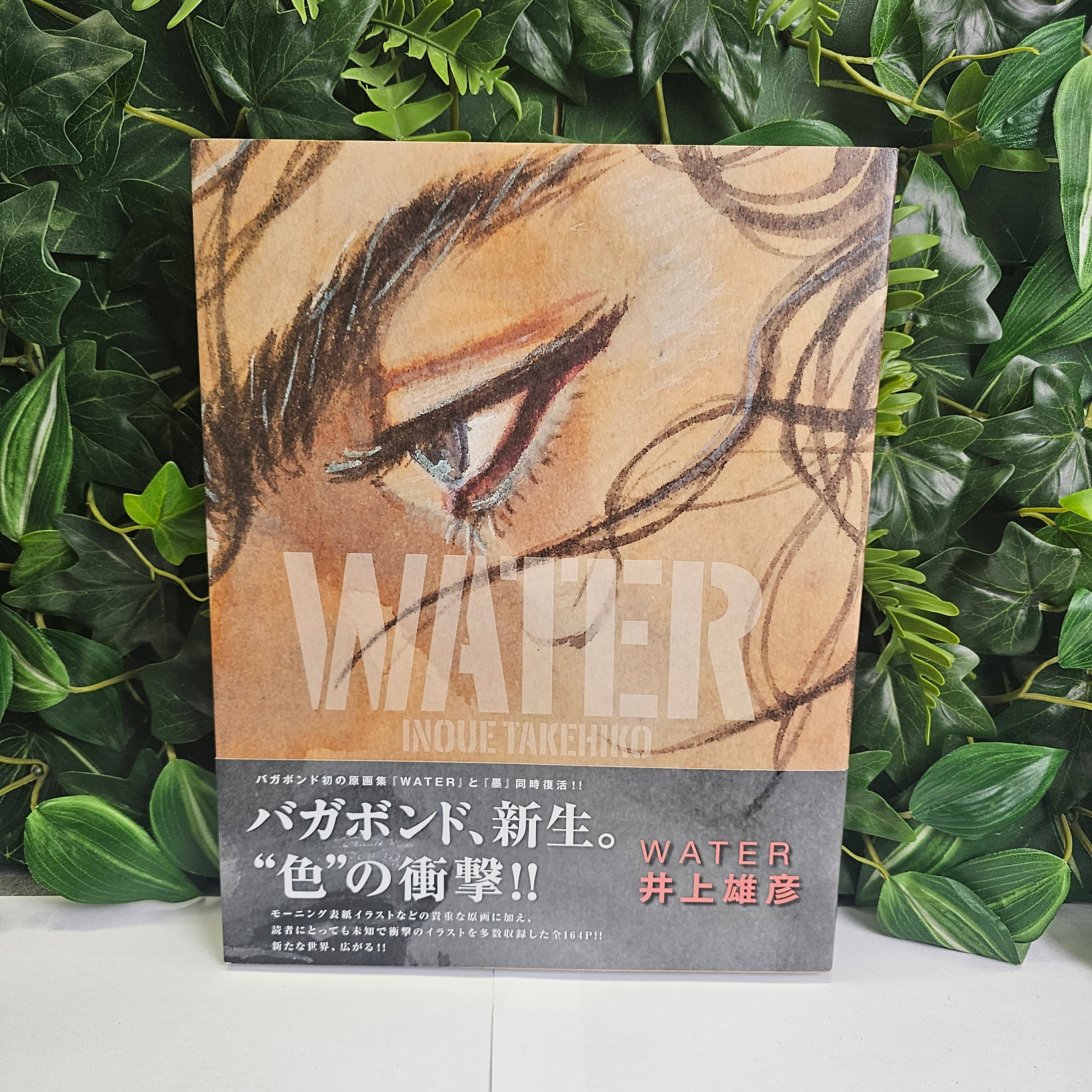 Artbook - Water Vagabond