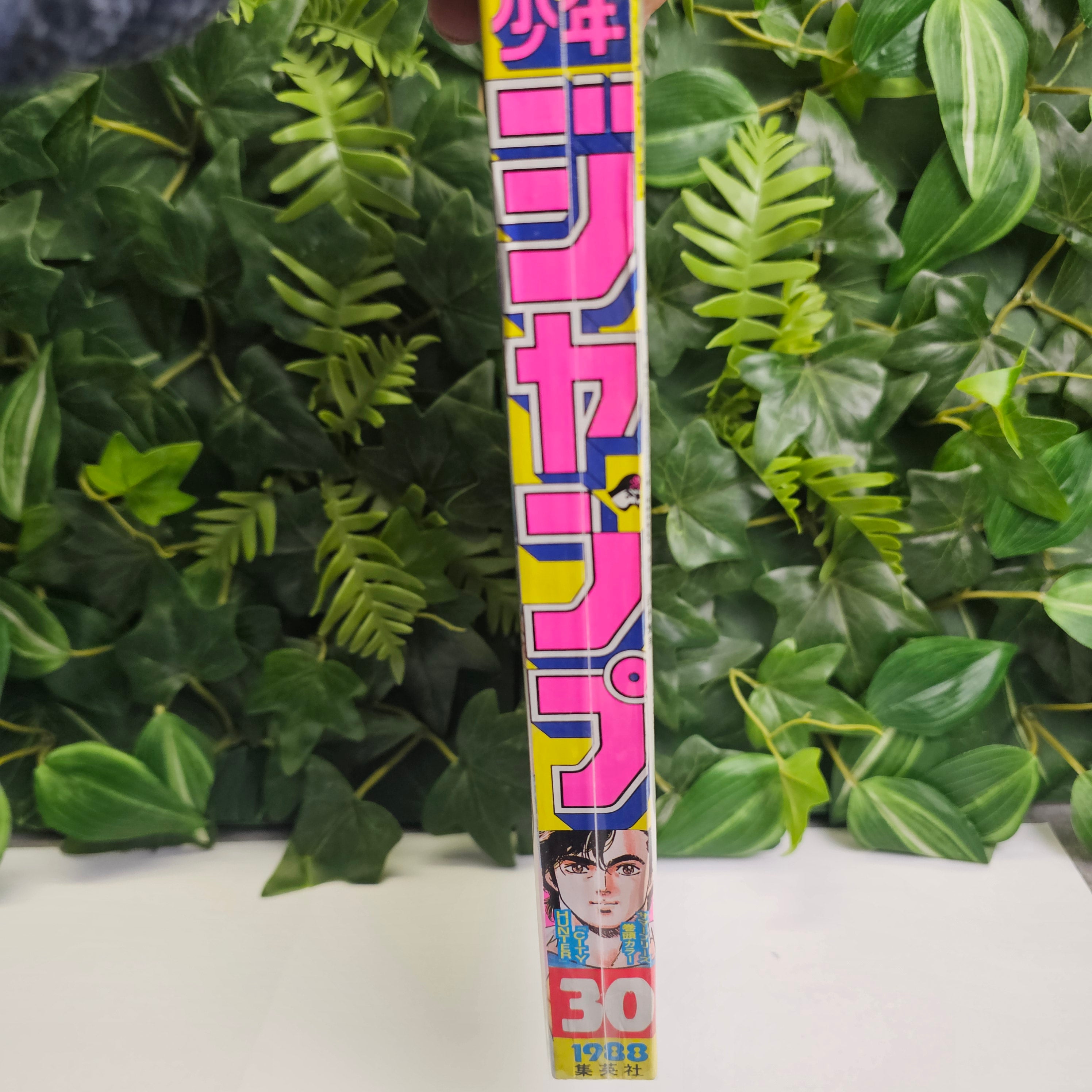 Weekly Shonen Jump n°30 (1988)