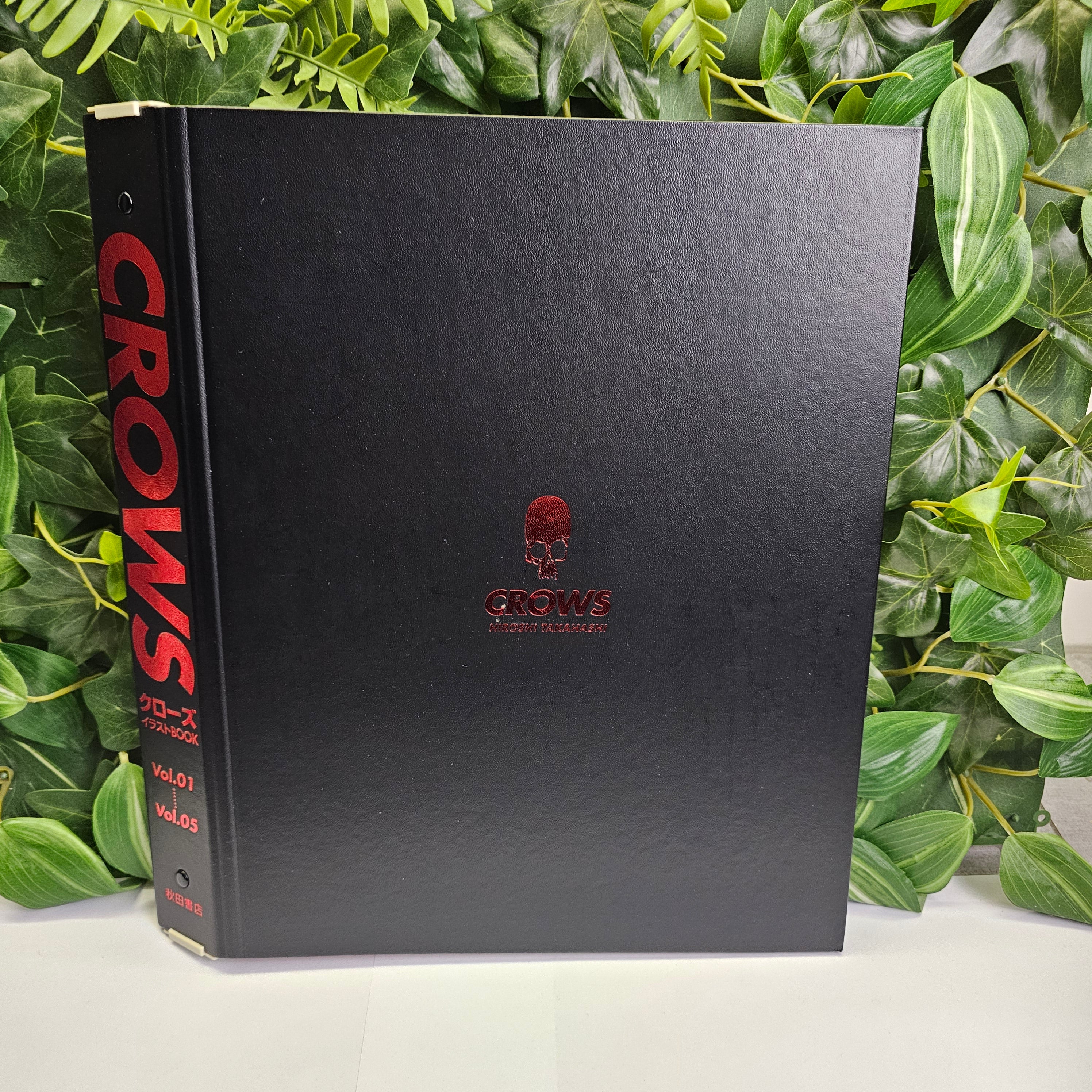 Classeur artbooks CROWS 1 à 5