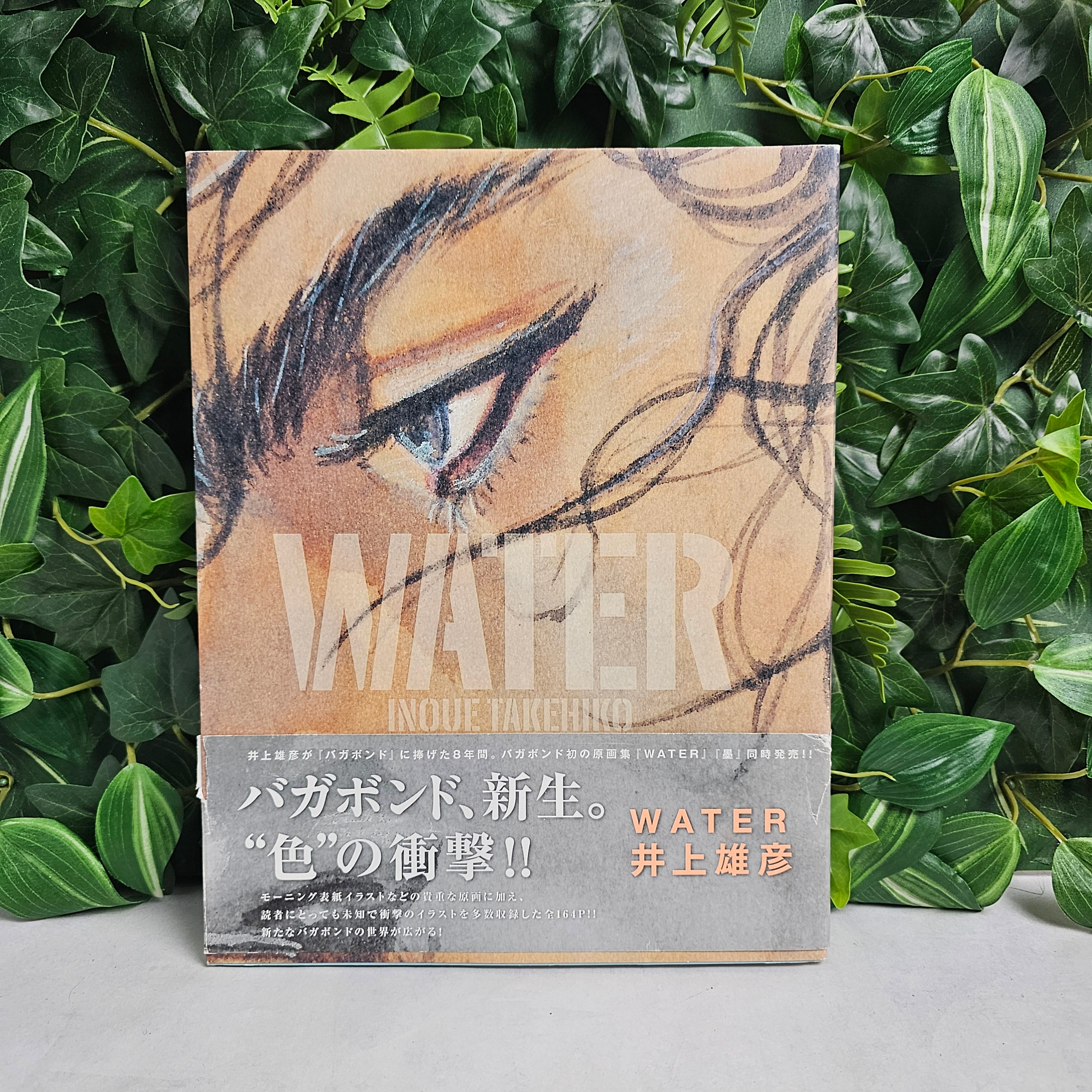 Artbook - Water Vagabond