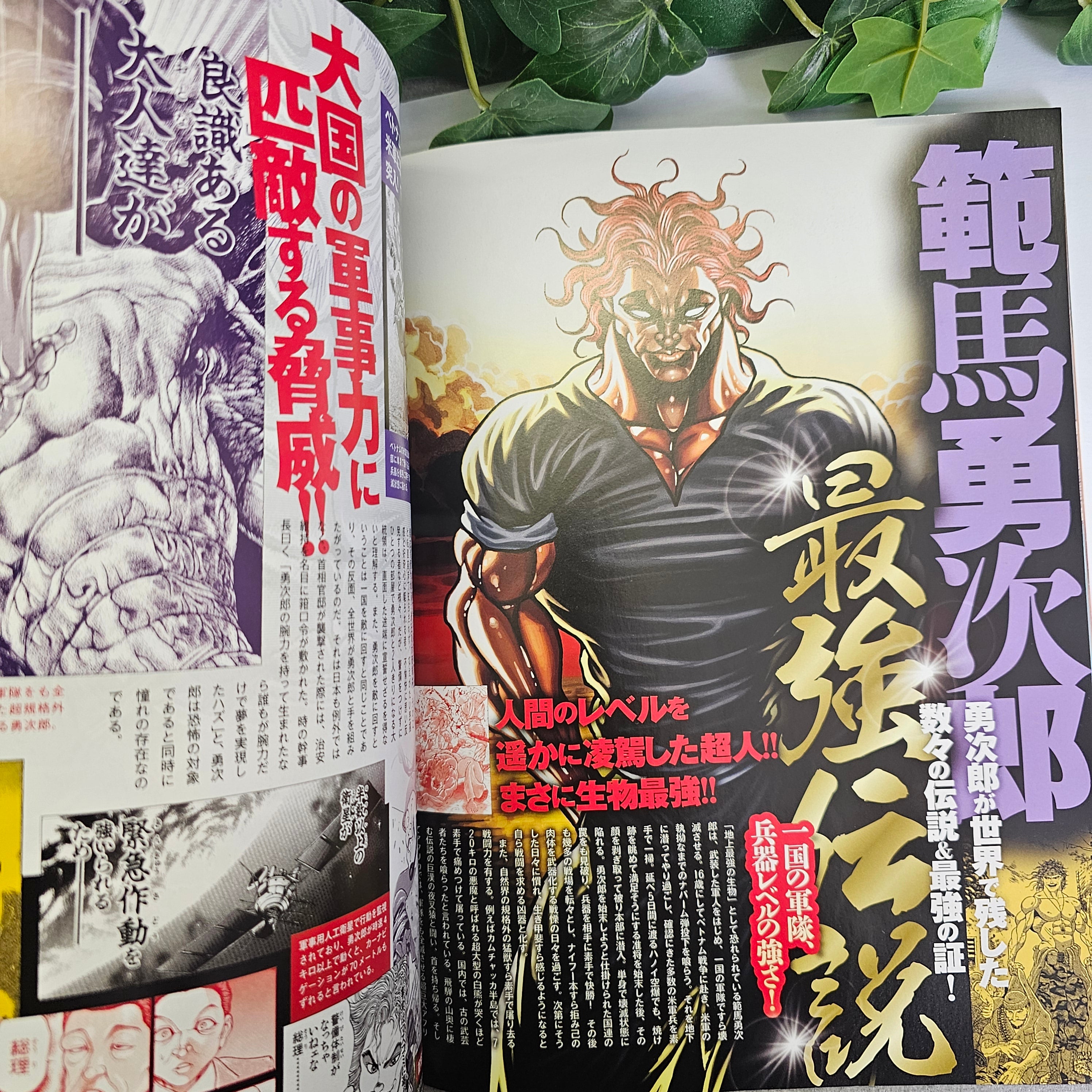 Mook - Baki Great Dissection Clash