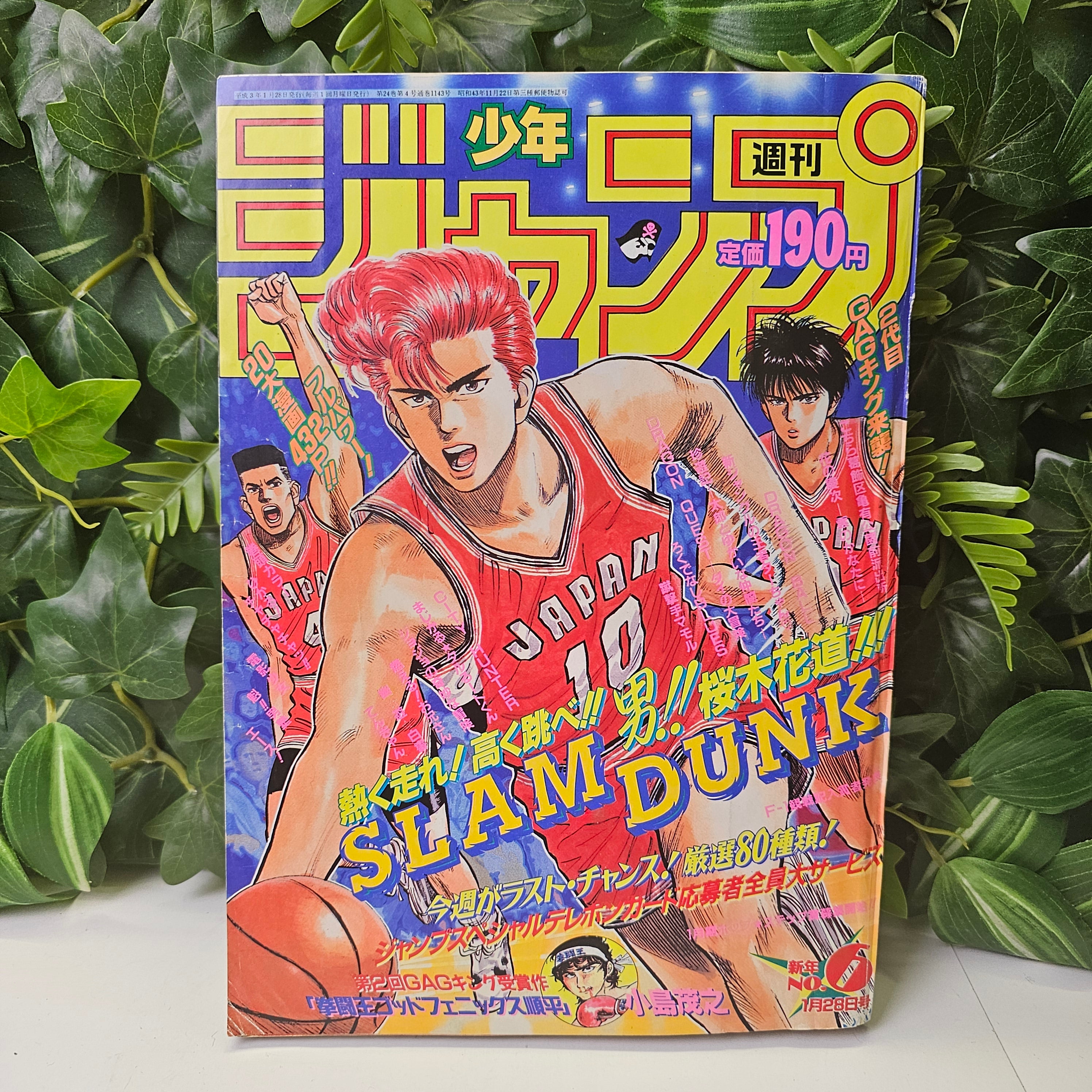 Weekly Shonen Jump n°6 (1991)