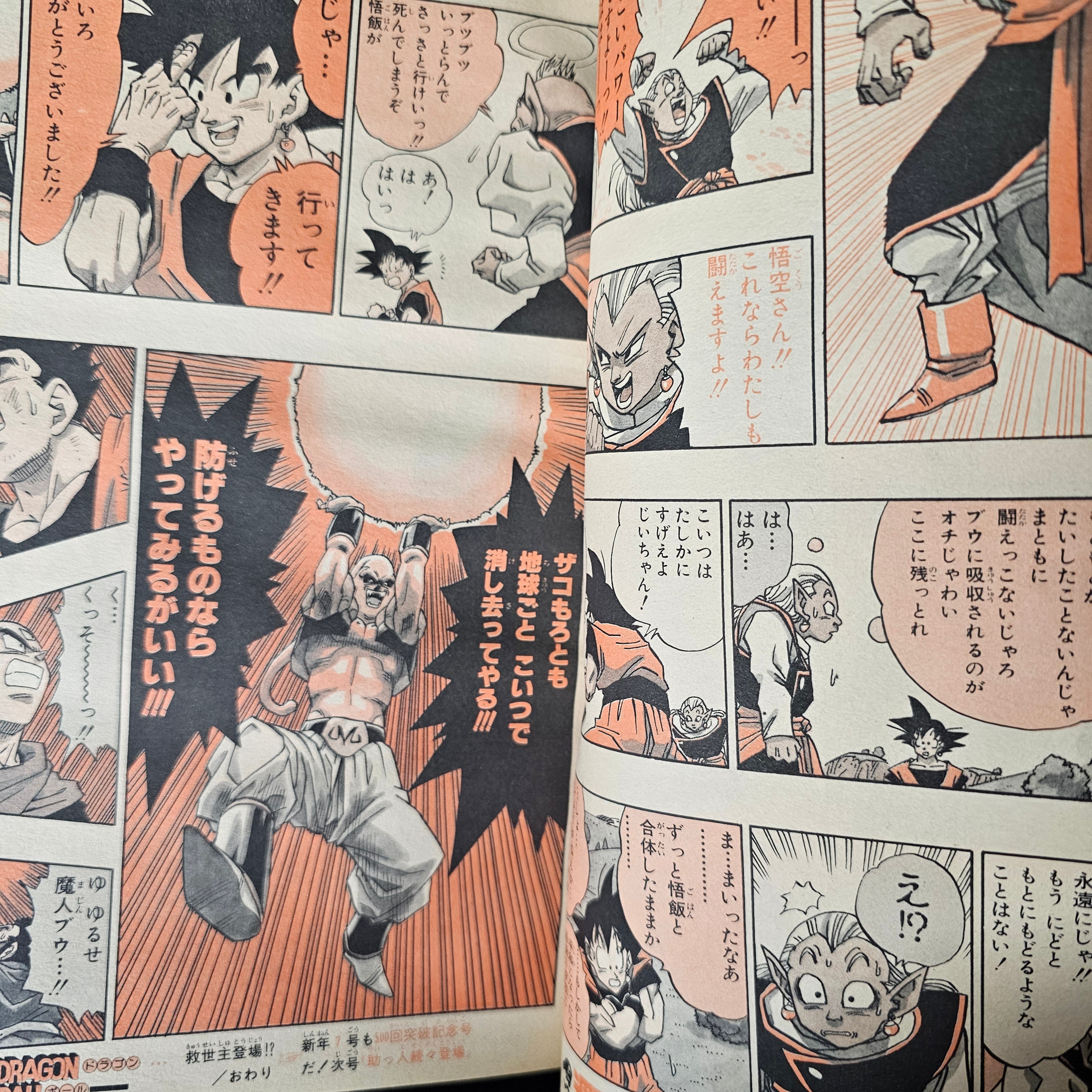 Weekly Shonen Jump n°5-6 (1995)