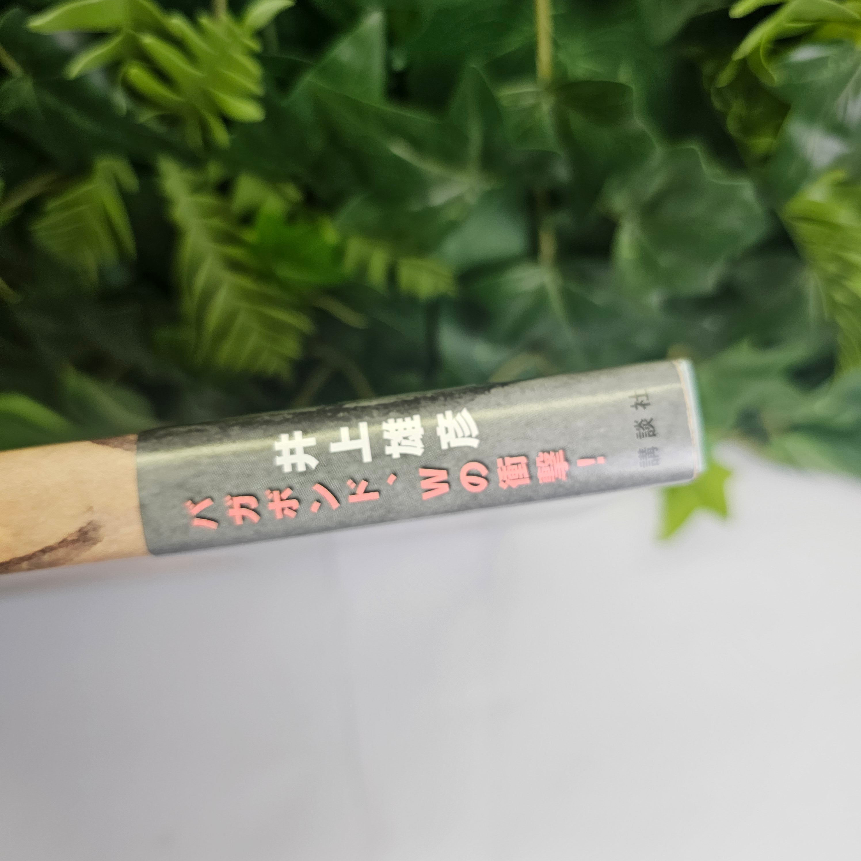 Artbook - Water Vagabond