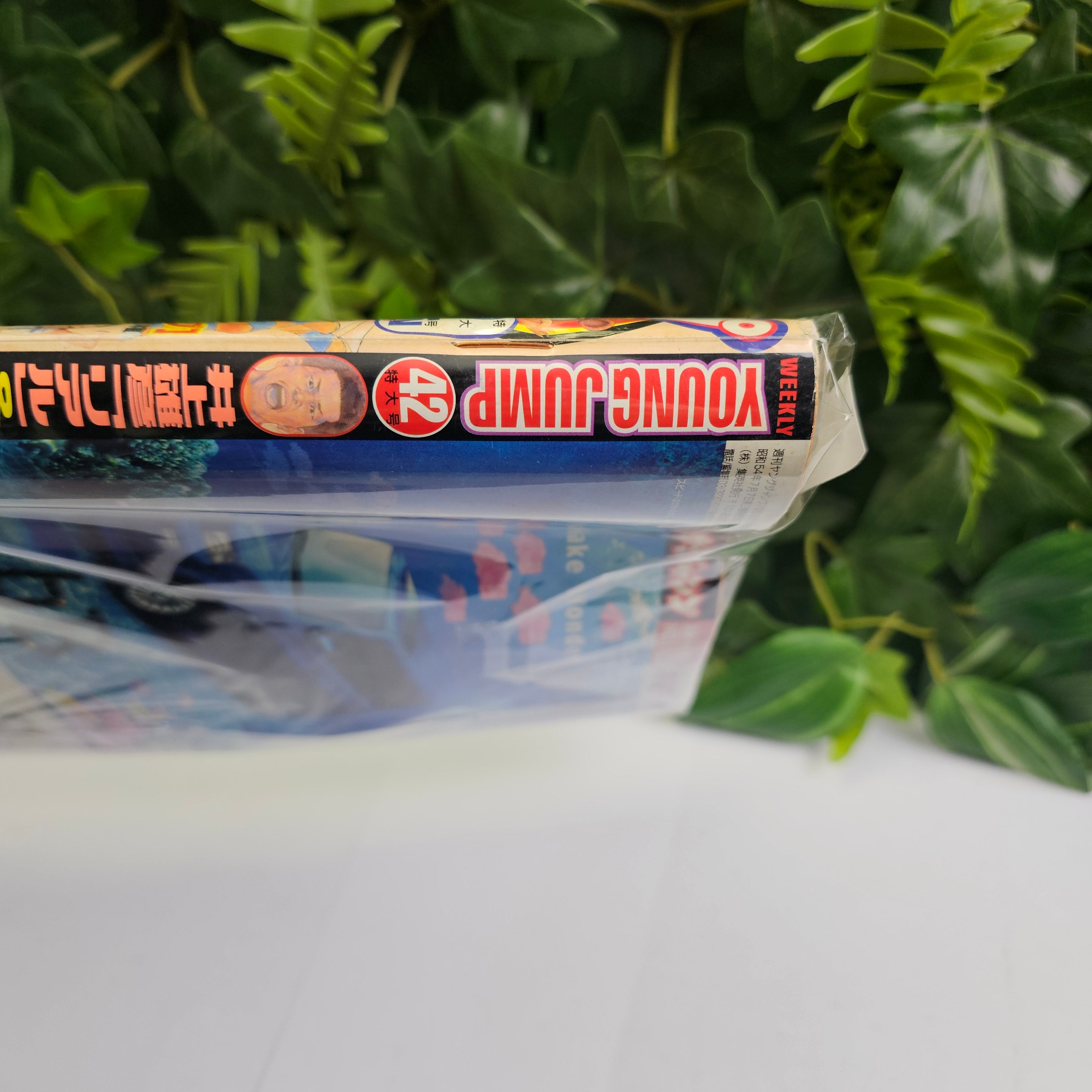 Weekly Young Jump n°42 (2002)