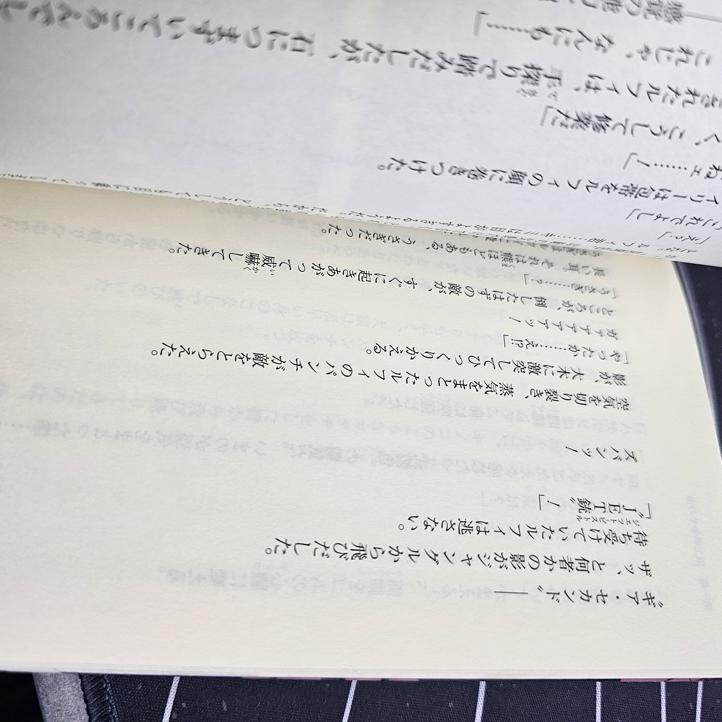 One Piece - Novel 3D2Y