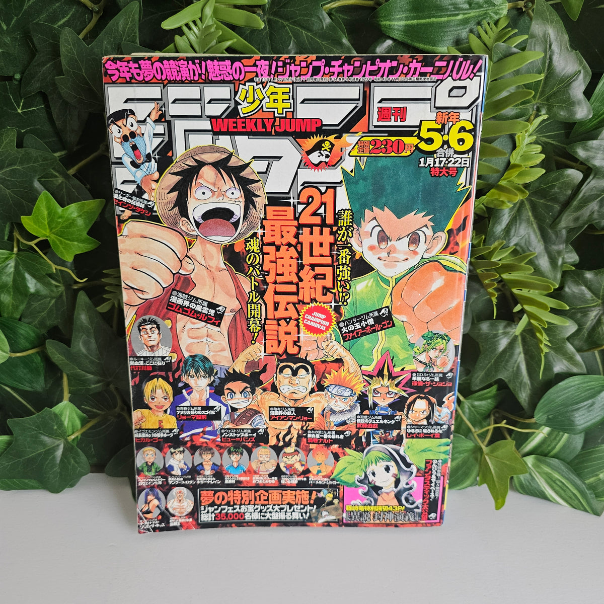 Weekly Shonen Jump n°5-6 (2001) (One Piece)