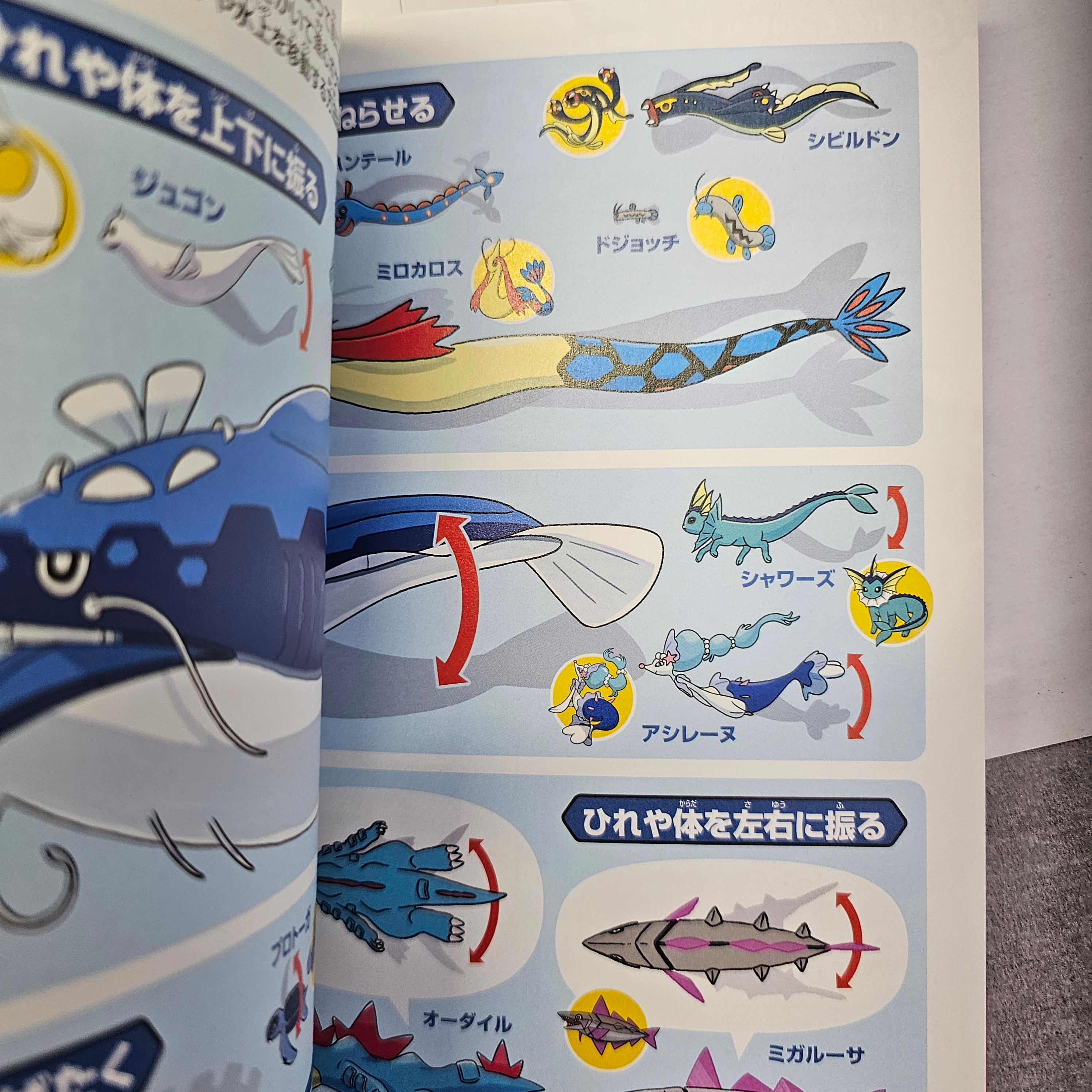Artbook Pokémon "Pokecology"