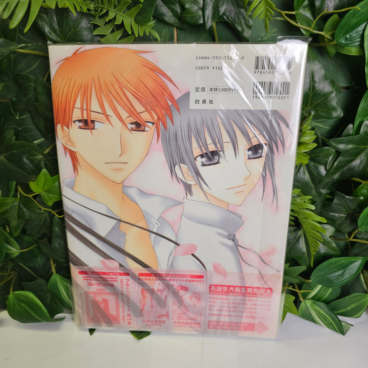 Artbook - Fruit Basket