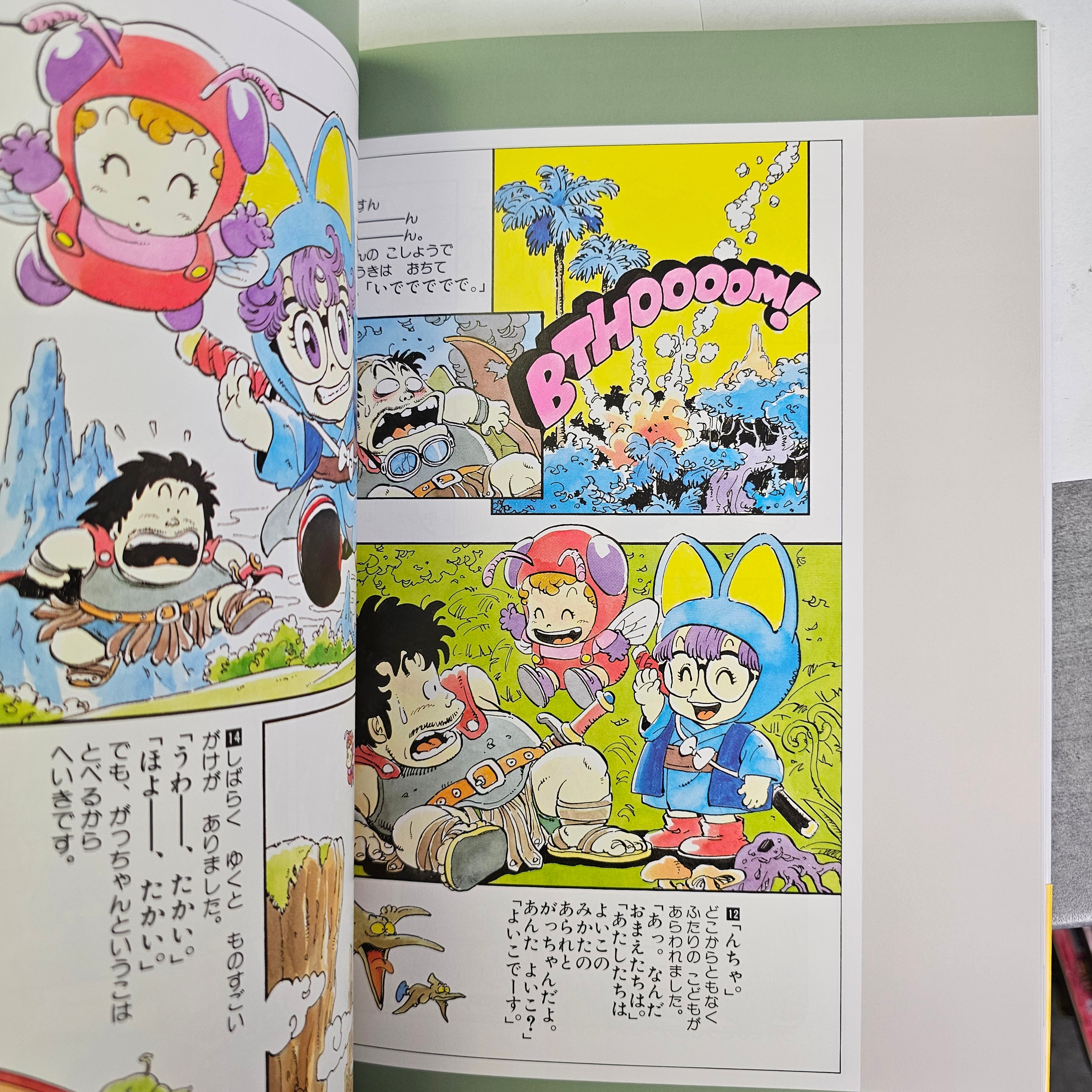 Dragon Ball artbook - Akira Toriyama - The World – vue 12