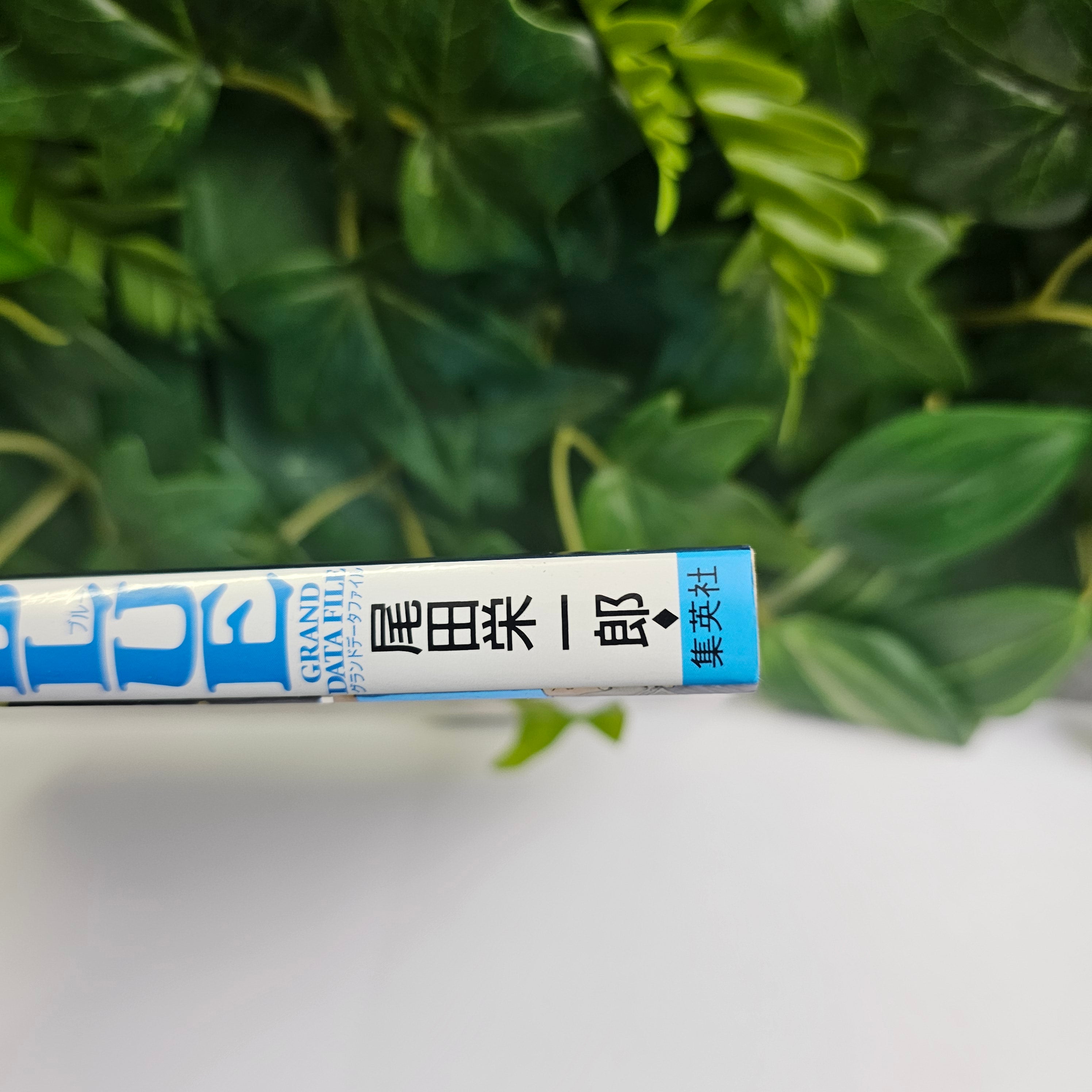 One Piece - Tome BLUE Grand Data File