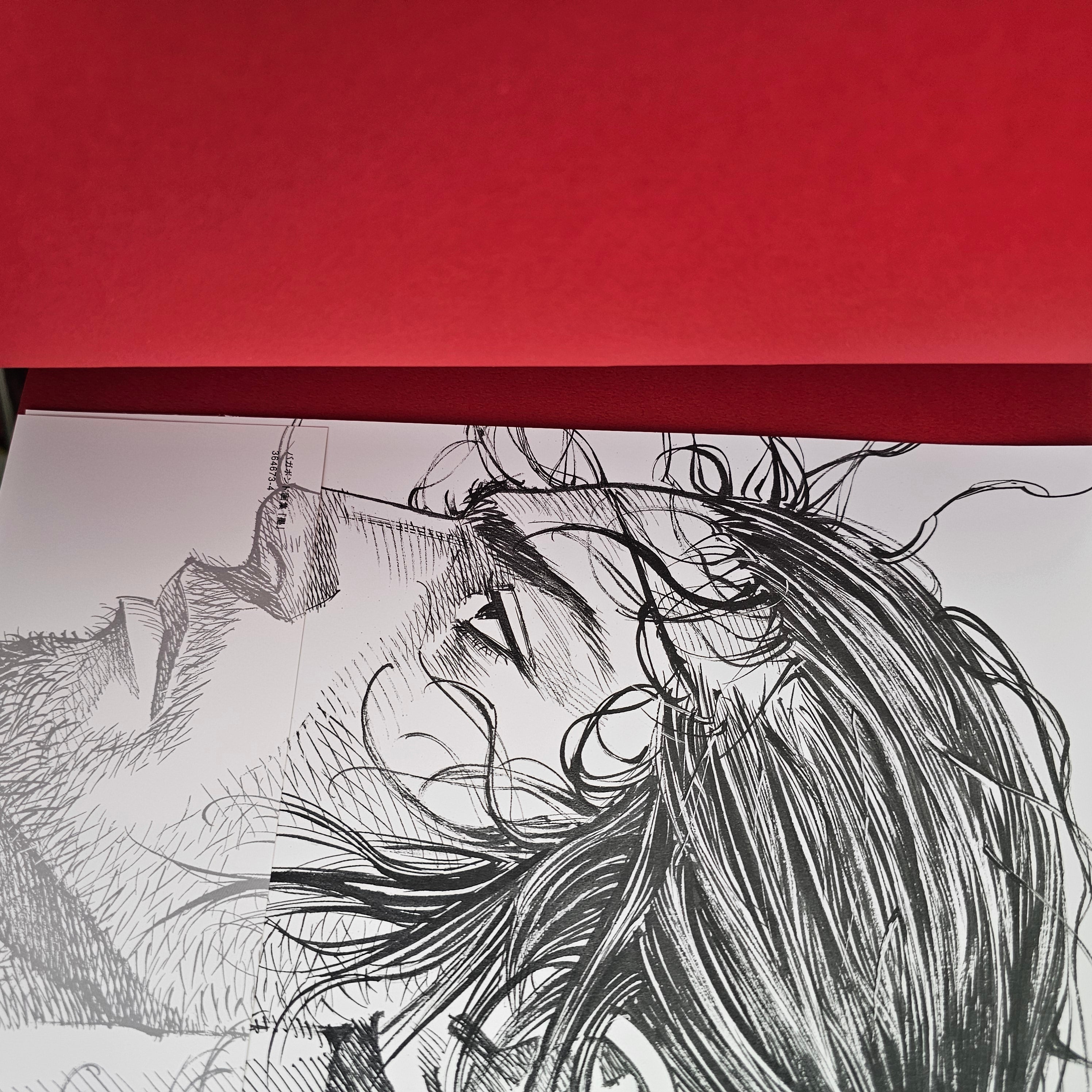 Artbook - Sumi Vagabond