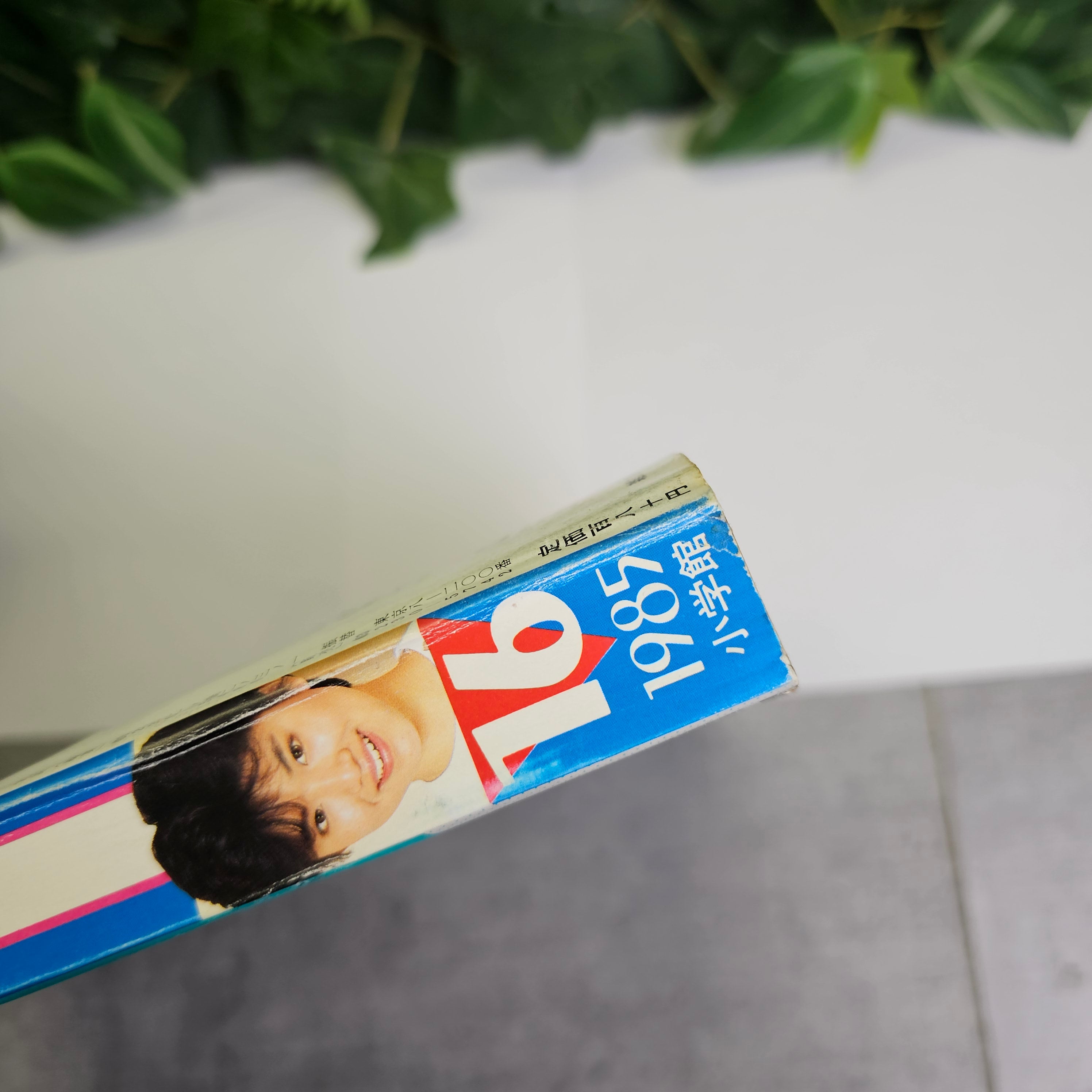 Weekly Shonen Sunday n°16 (1985) (TO-Y)