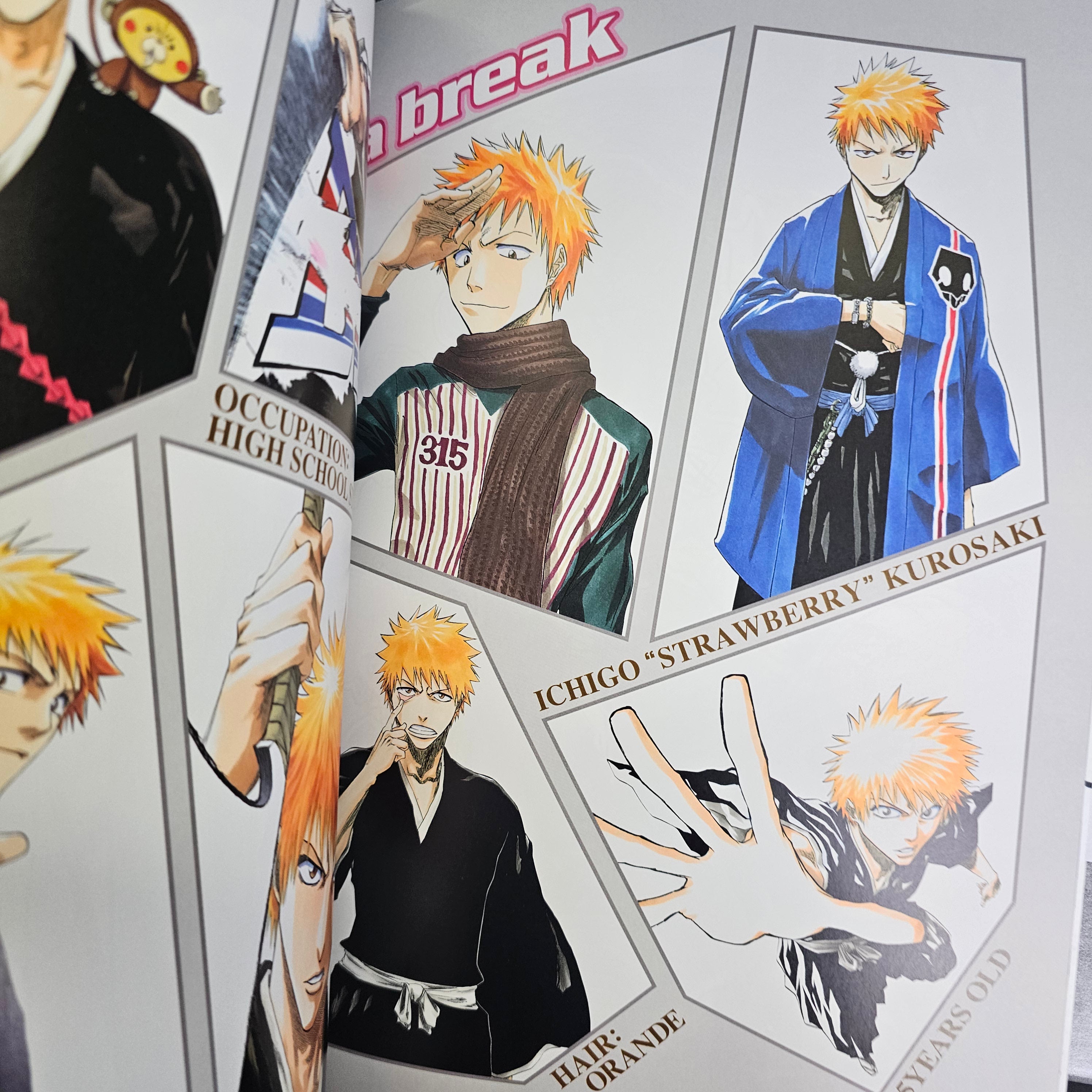 All Colour but the Black: The Art of Bleach