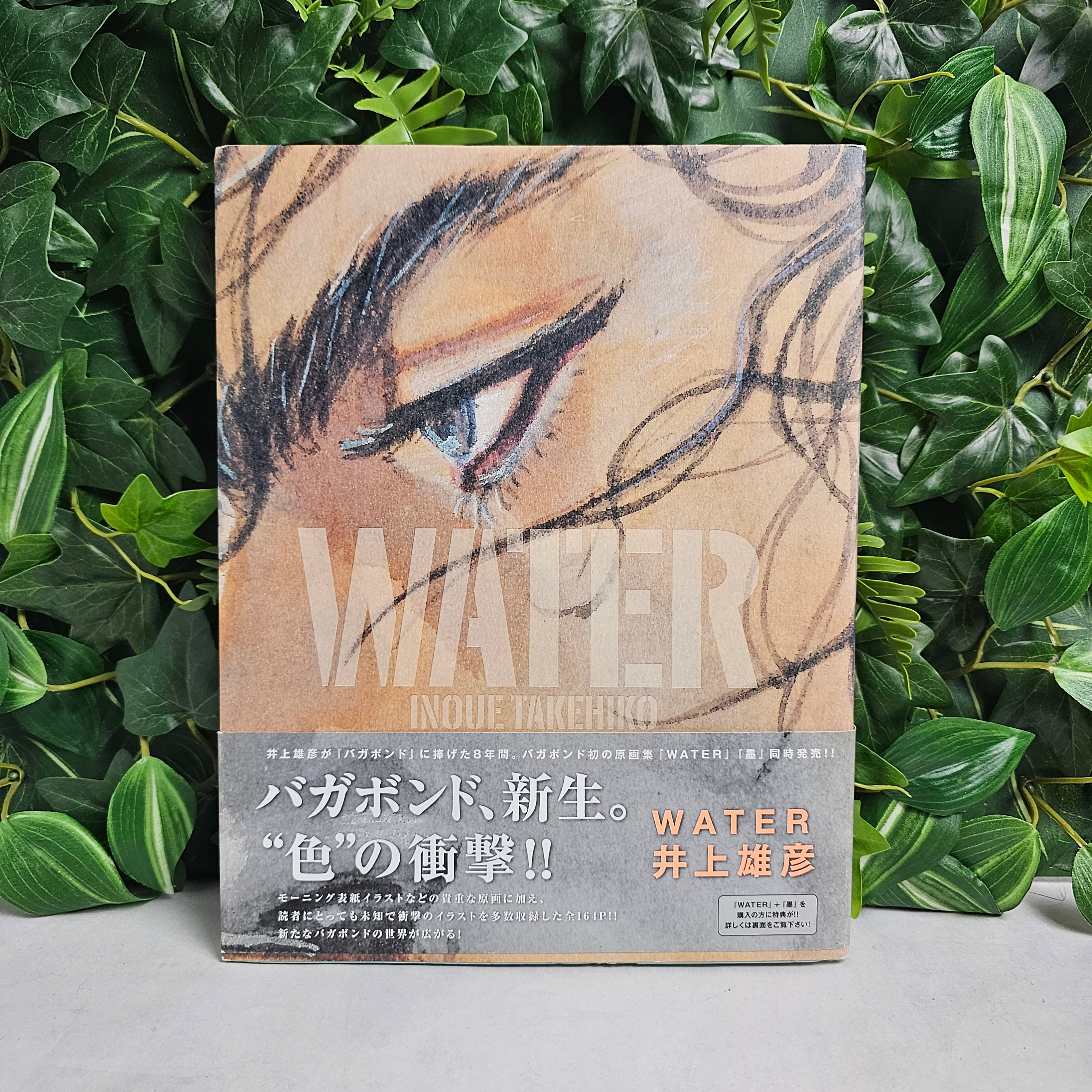 Artbook - Water Vagabond