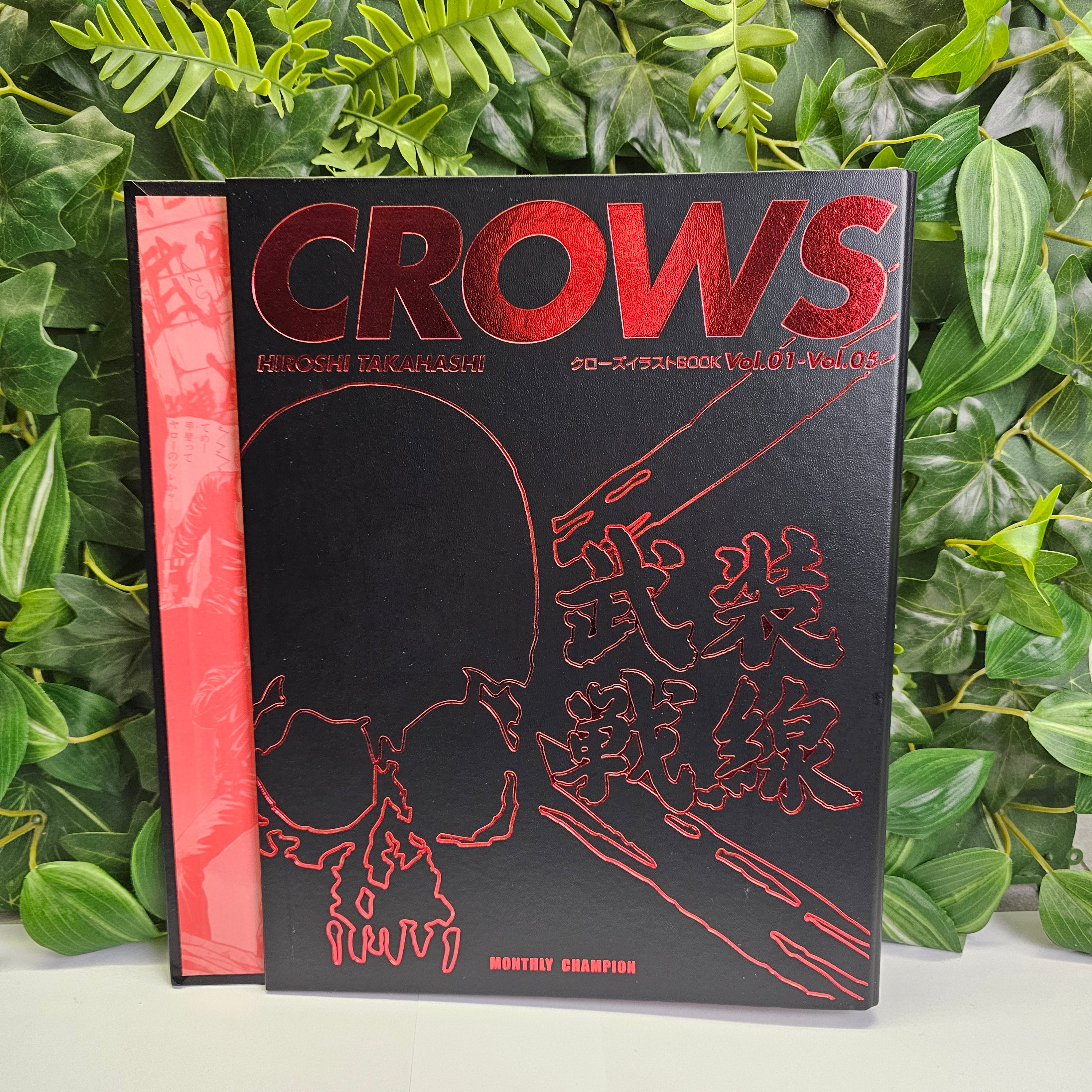 Classeur artbooks CROWS 1 à 5