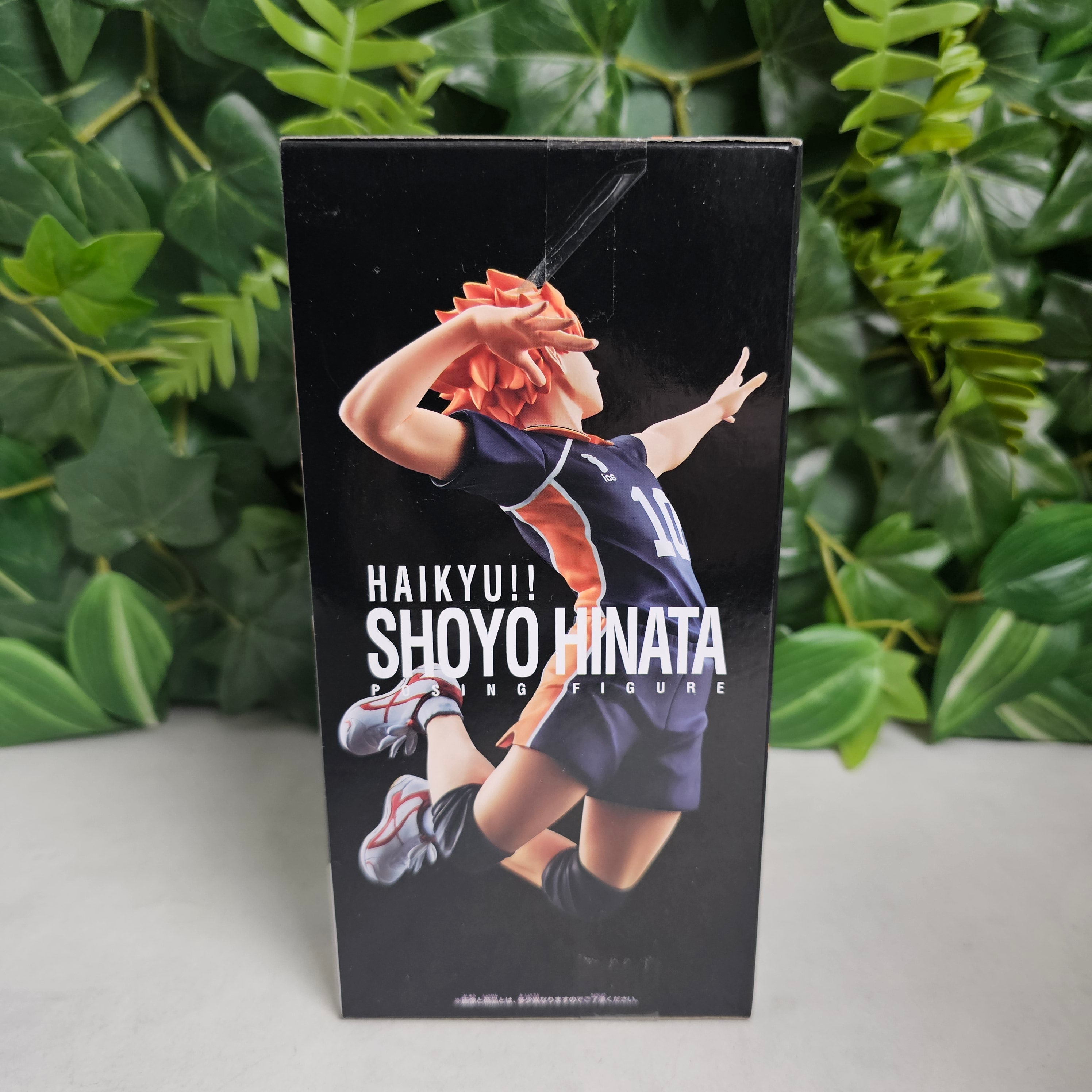 Posing Figure - Shoyo Hinata