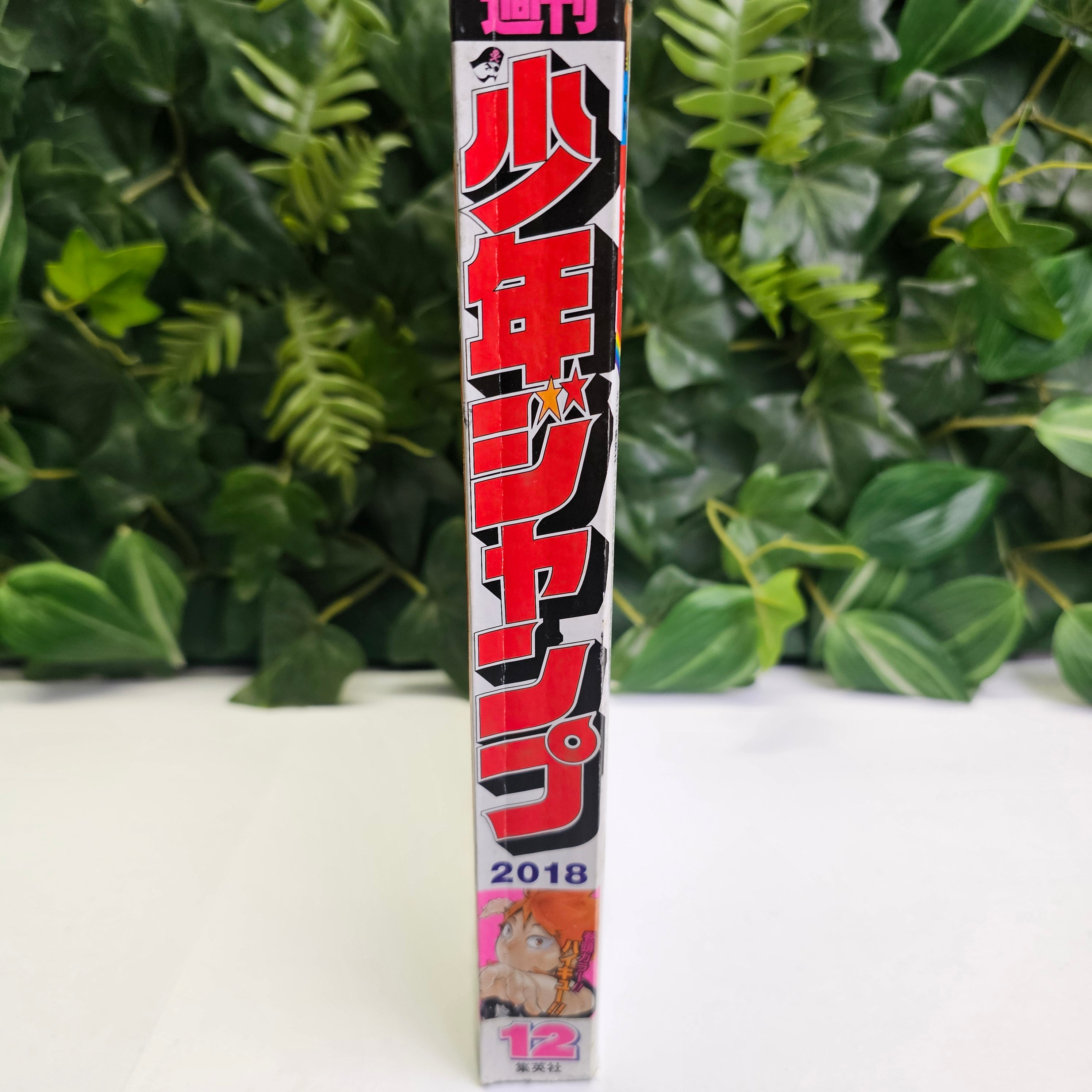 Weekly Shonen Jump n°12 (2018)